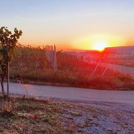 SchwaigernWeingut Will Und Wuerz Lembergerアパートメント エクステリア 写真