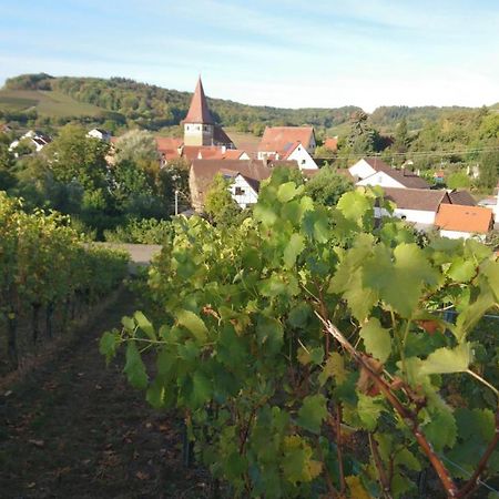 SchwaigernWeingut Will Und Wuerz Lembergerアパートメント エクステリア 写真