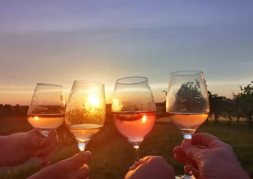 SchwaigernWeingut Will Und Wuerz Lembergerアパートメント エクステリア 写真