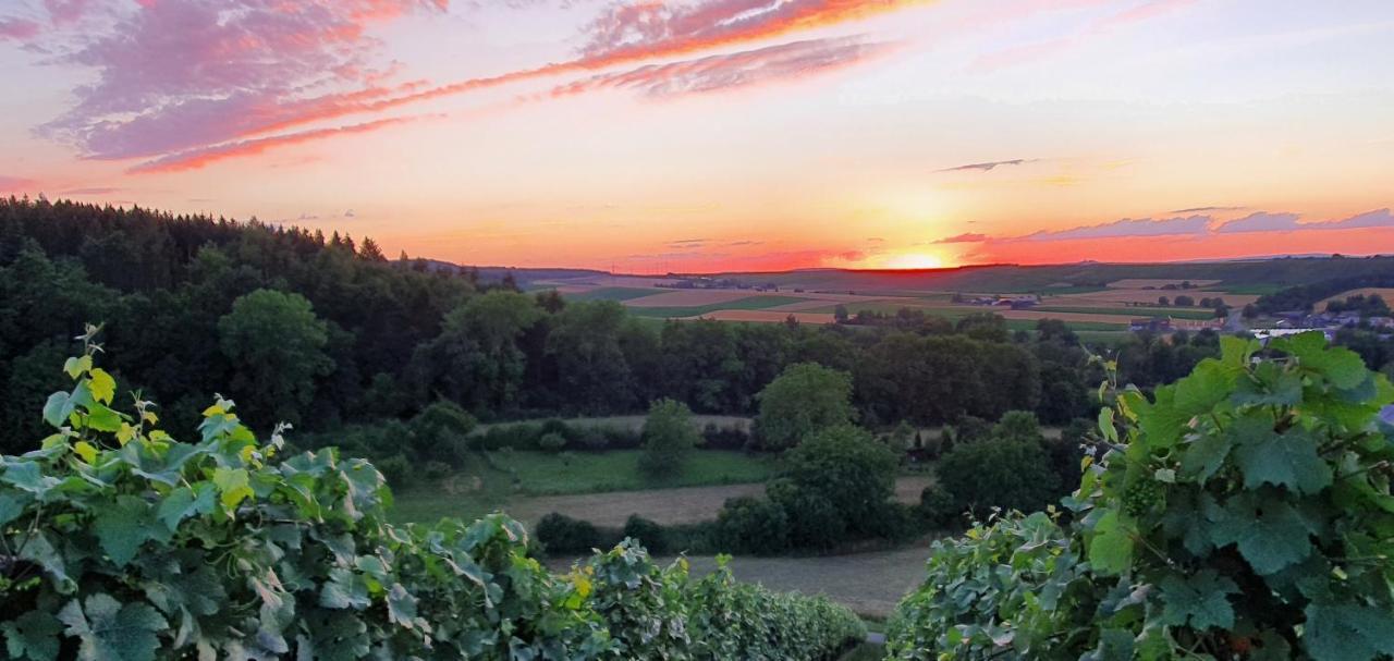 SchwaigernWeingut Will Und Wuerz Lembergerアパートメント エクステリア 写真
