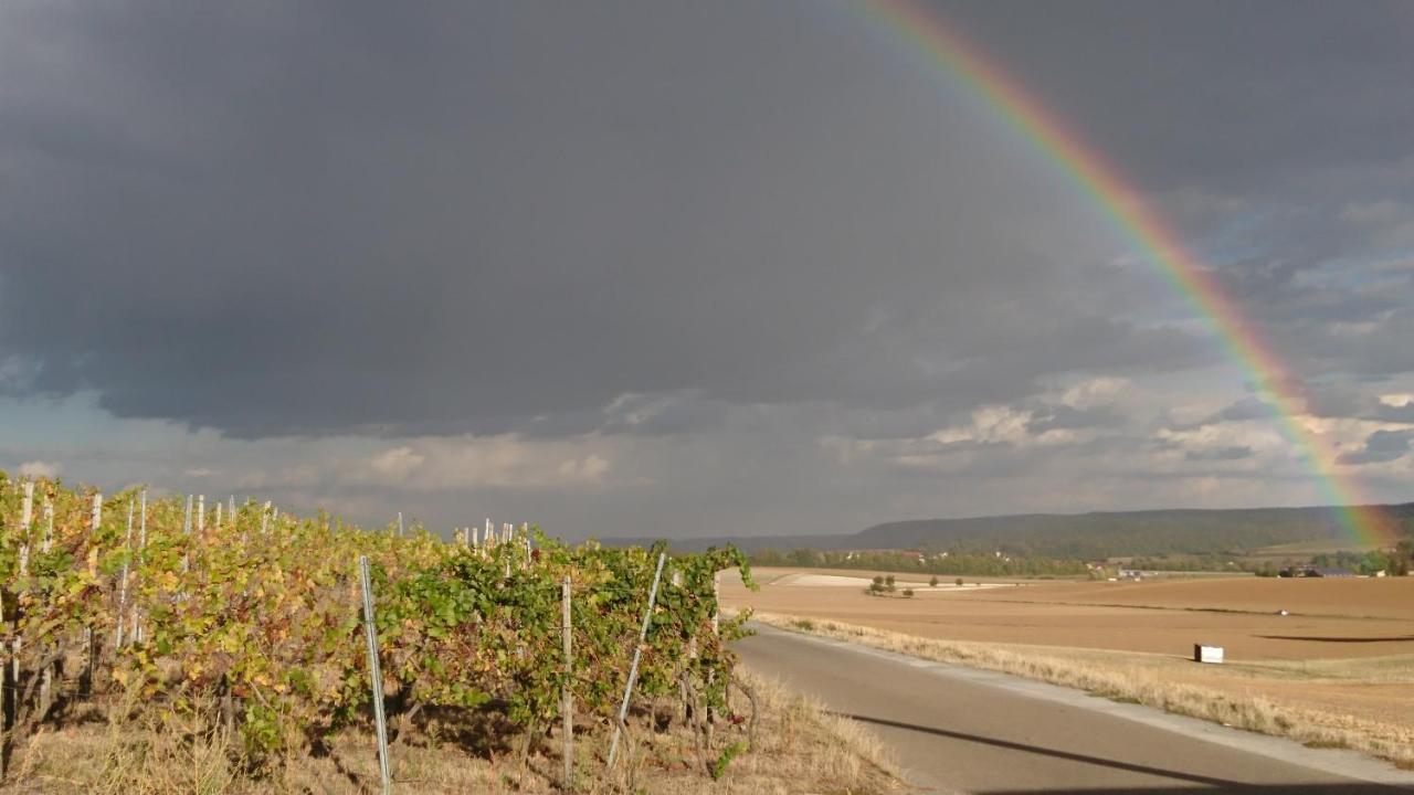 SchwaigernWeingut Will Und Wuerz Lembergerアパートメント エクステリア 写真