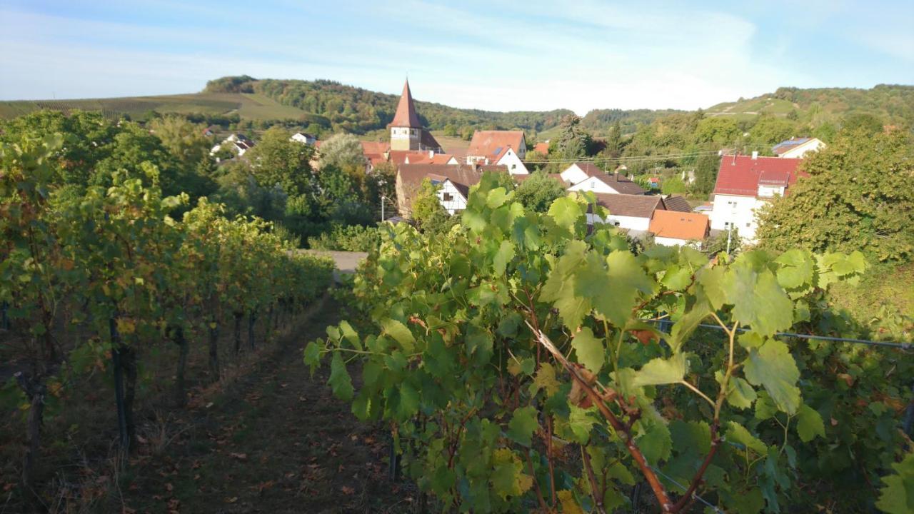SchwaigernWeingut Will Und Wuerz Lembergerアパートメント エクステリア 写真